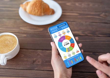 Close up holding phone with budget app open