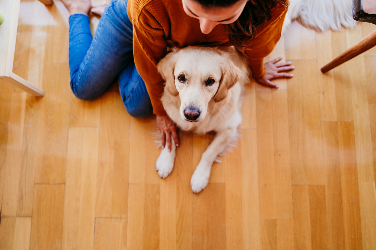 Before Adopting a Furry Friend, Make Sure You’ve Set a Budget