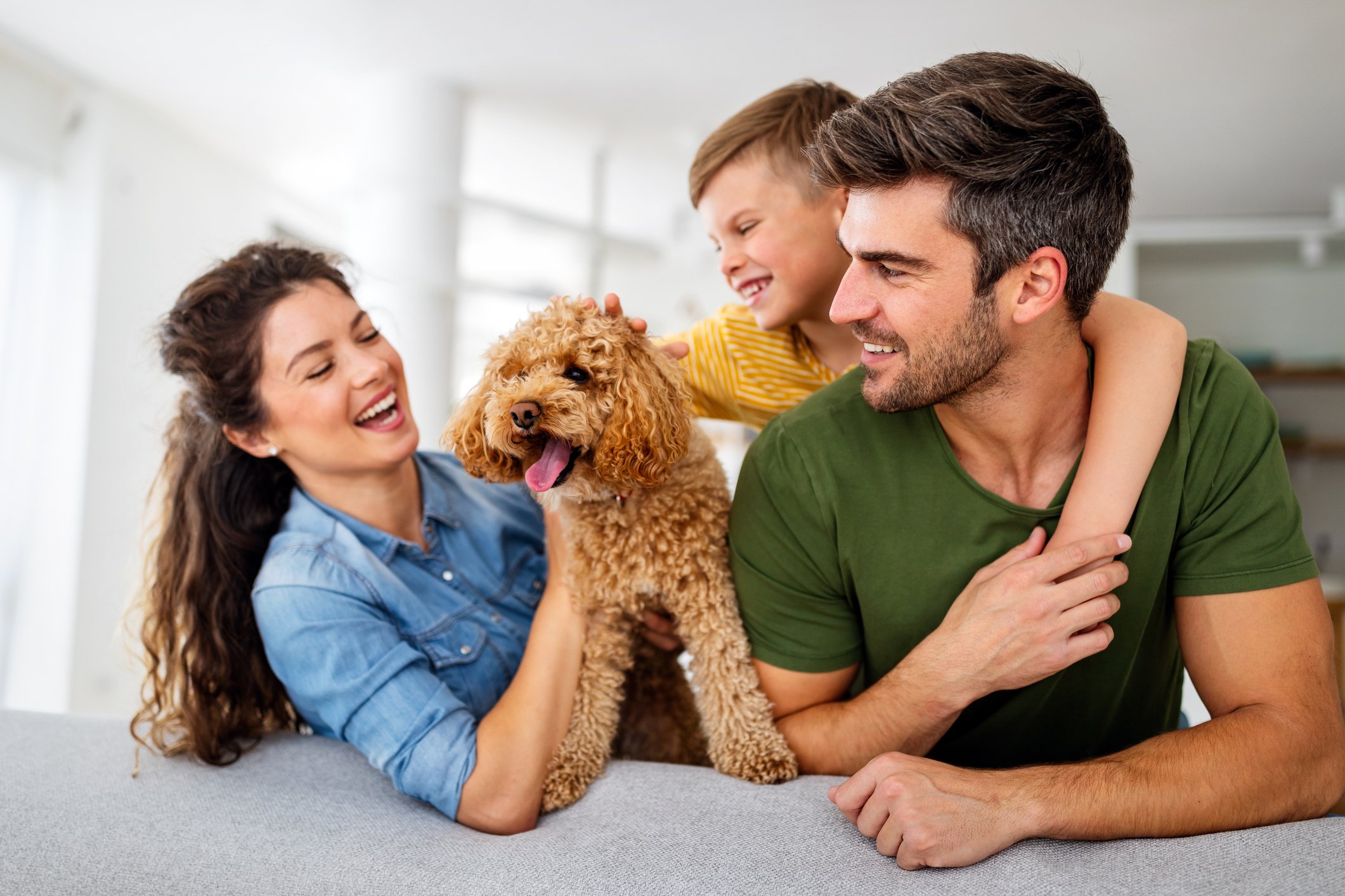 iStock-1289144983 (1)